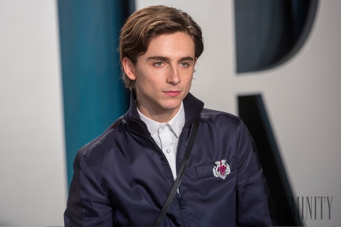 Timothée patrí momentálne k najobľúbenejším hercom sveta