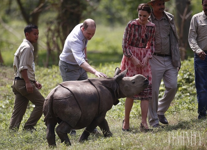 Kráľovský pár v národnom parku Kaziranga