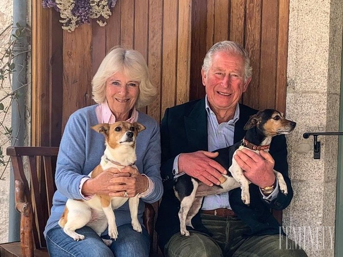  Camilla a princ Charles, vlastnia zase Jack Russelov - Bluebell a Beth