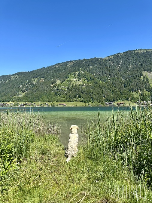 Weissensee je ideálne na plávanie