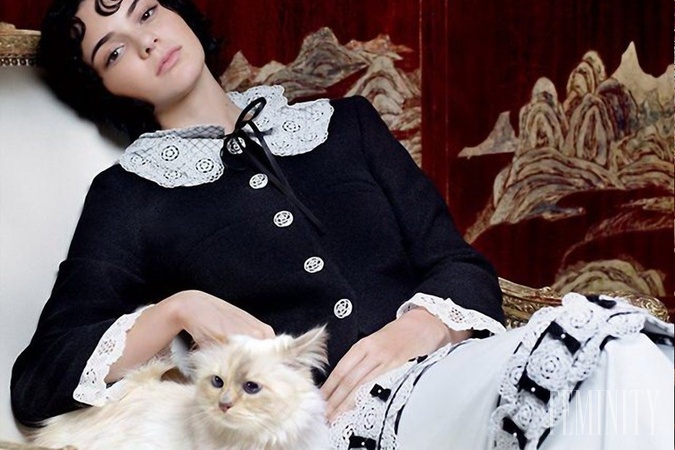 Lagerfeld na svojej mačke rozhodne nešetril